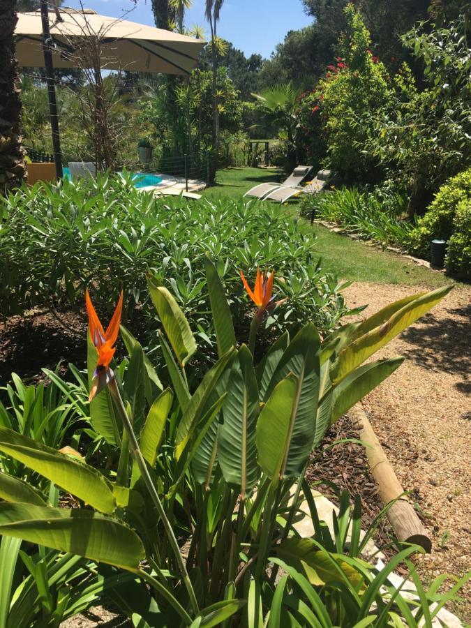 אזייתאו Villa Oasis מראה חיצוני תמונה